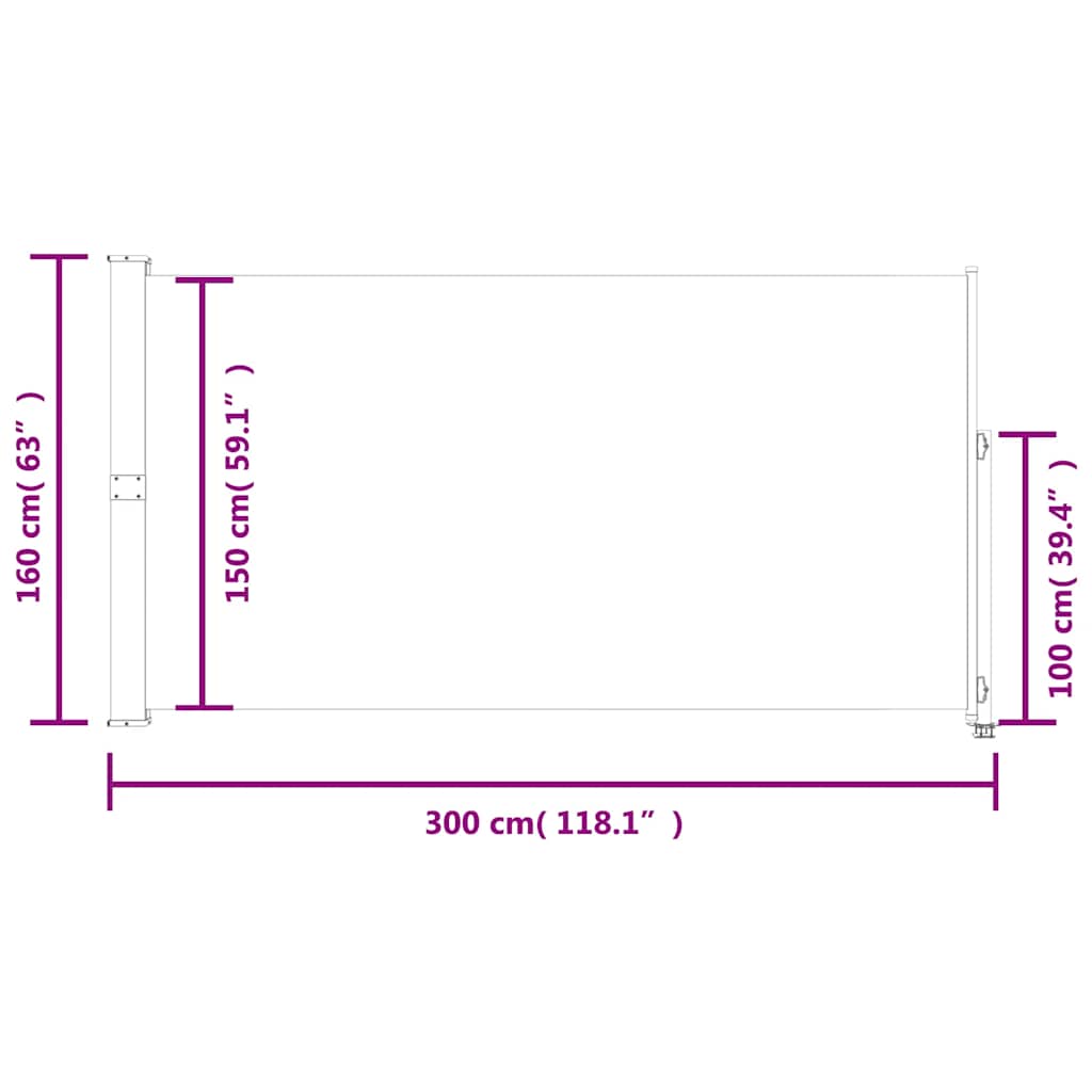 vidaXL Ausziehbare Seitenmarkise 160x300 cm Braun
