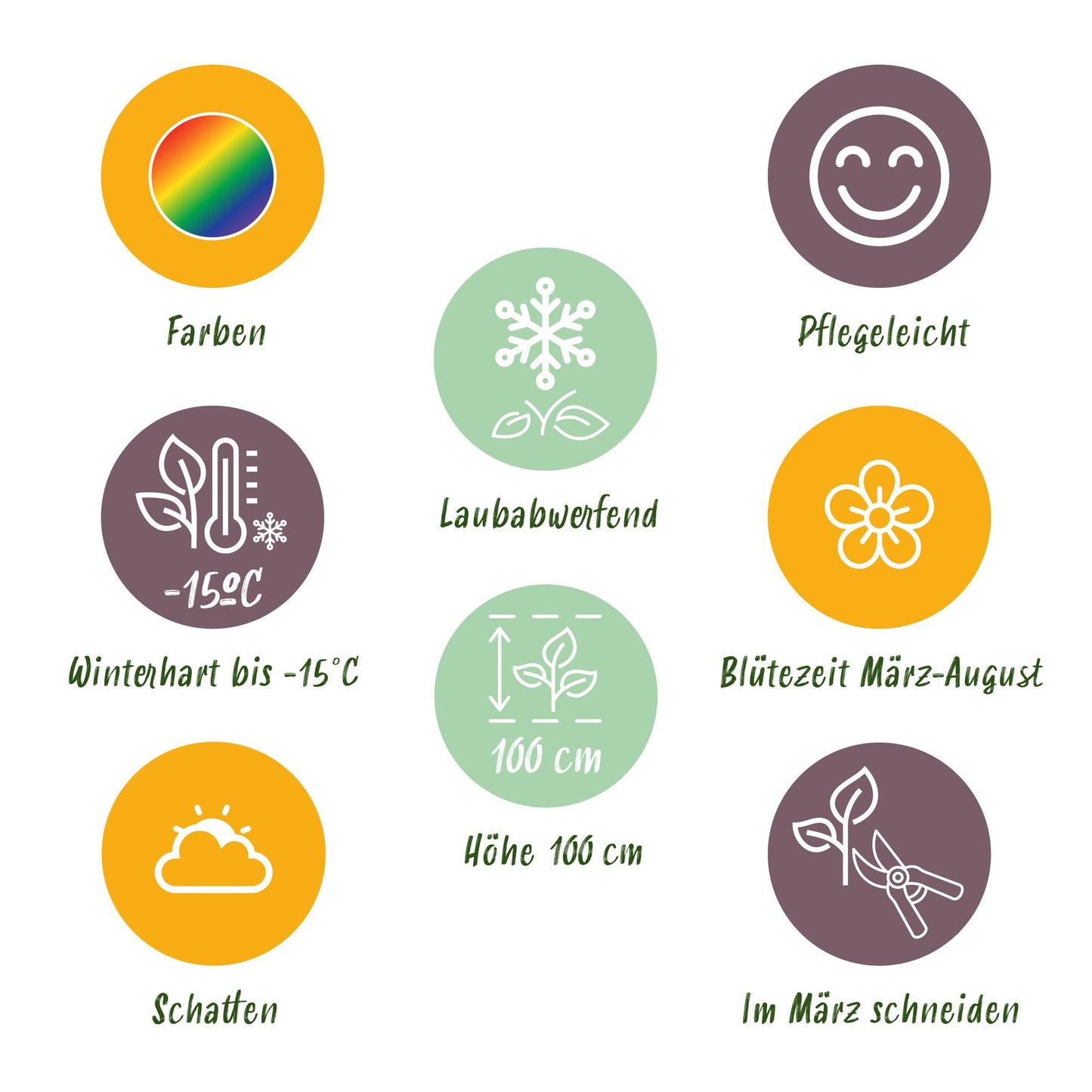 Stauden packet - Schatten - 8 Stauden - Für 1 m2 - Verschiedene Farben - Wenig Pflege - Topf 11cm
