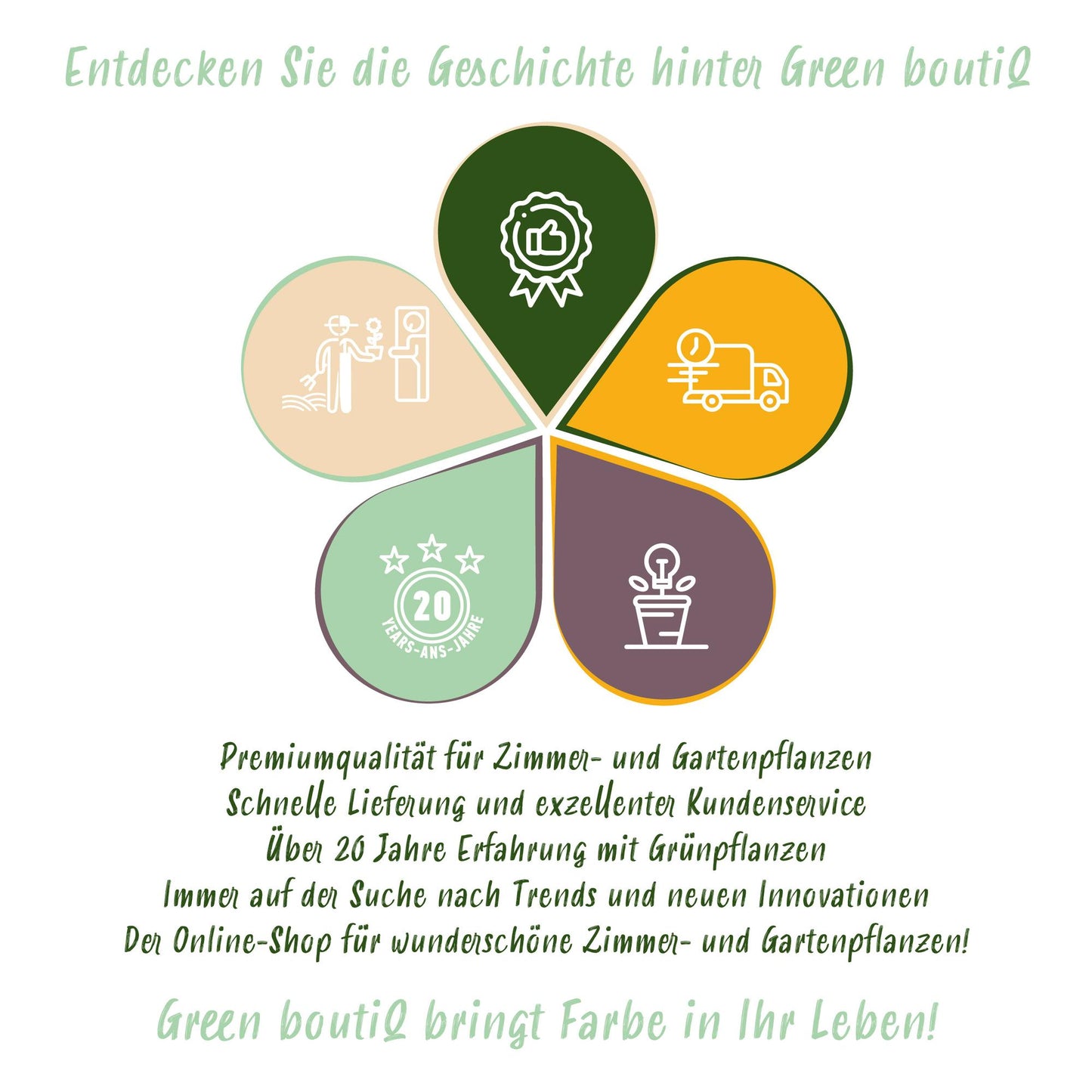 Stauden packet - Farbe Weiß - 8 Stauden - Für 1 m2 - Verschiedene Farben - Wenig Pflege - Topf 11cm