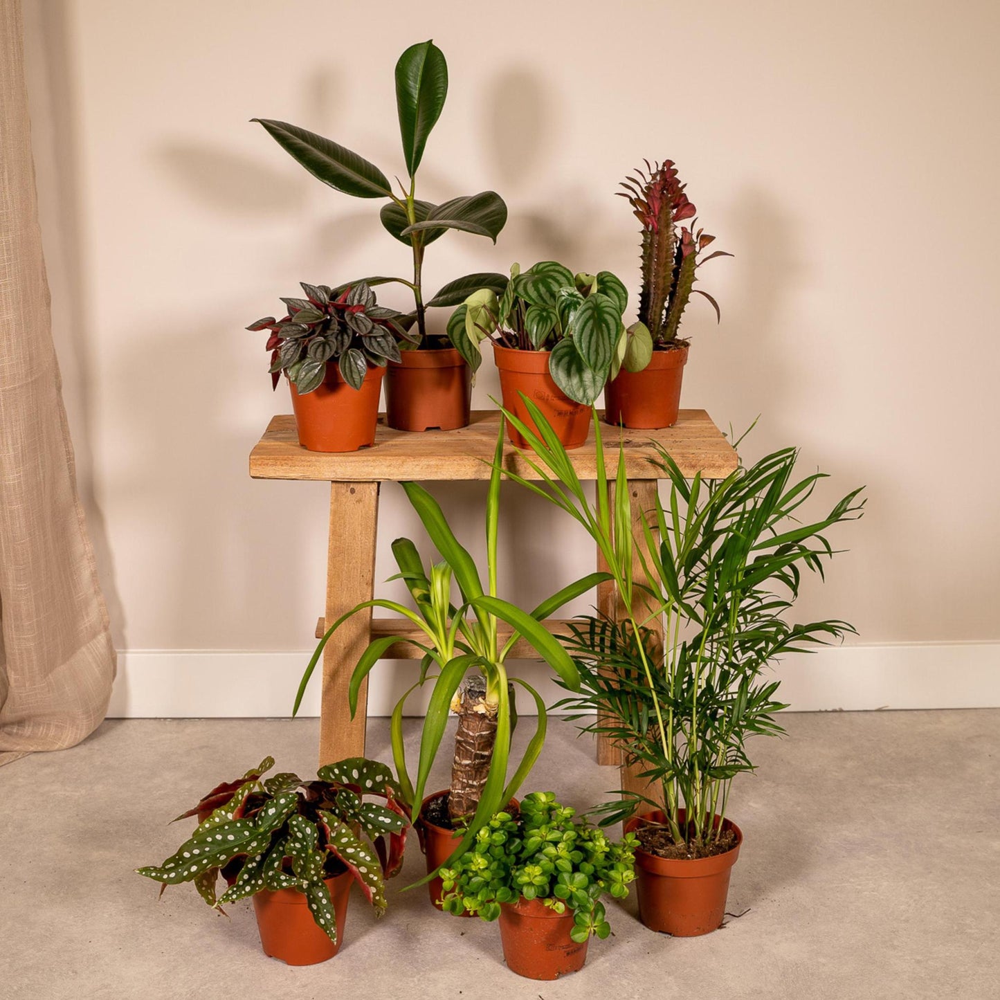 Außenseiterbox 12x Ø12 - Ø12cm - 8x