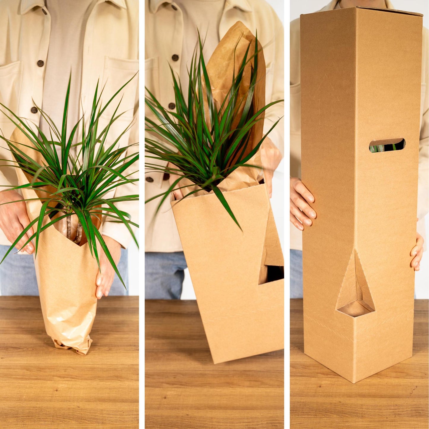 Außenseiterbox 12x Ø12 - Ø12cm - 8x