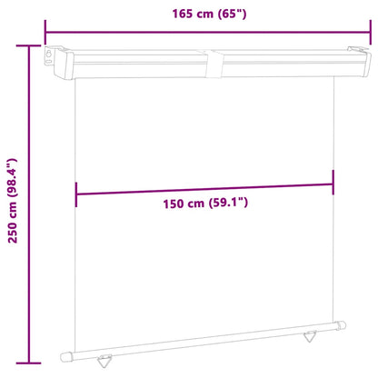 vidaXL Balkon-Seitenmarkise 165x250 cm Grau