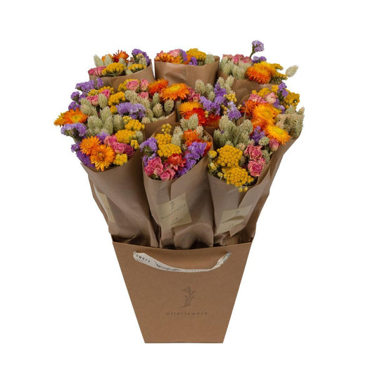 Getrocknete Blumen - Market More - Multi - ↕50cm