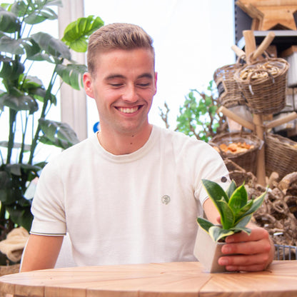 Congreetz® plantpots + Sansevieria| Viel Glück